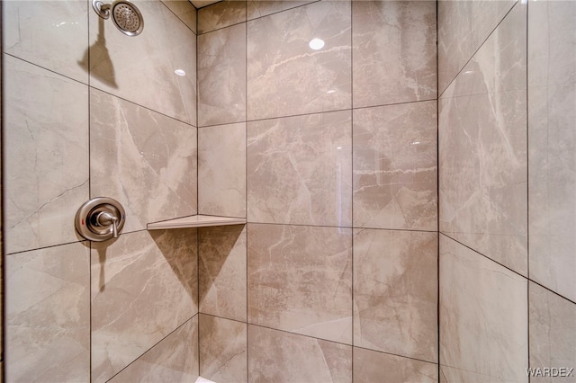 interior details featuring tiled shower