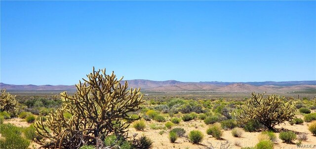 12755 Silver Sage Dr, Dolan Springs, AZ 86441 - photo 8