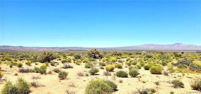 12755 Silver Sage Dr, Dolan Springs, AZ 86441 - photo 3