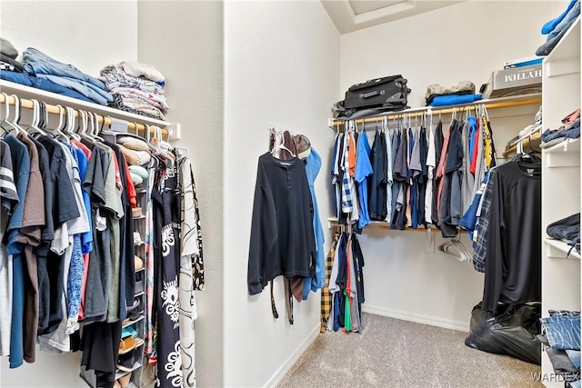 spacious closet featuring attic access and carpet flooring