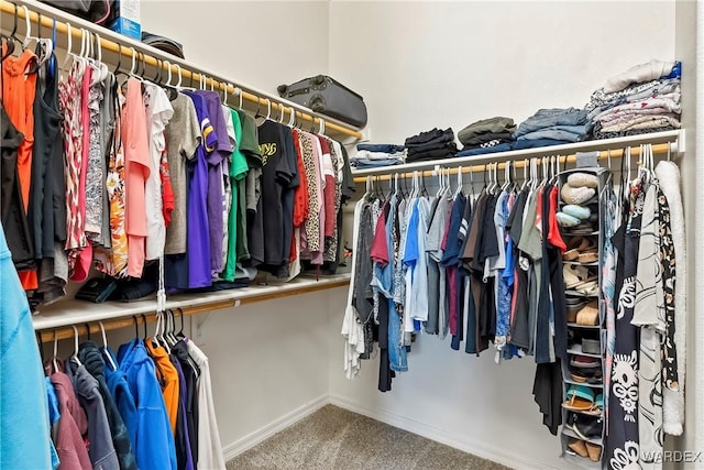 walk in closet featuring carpet