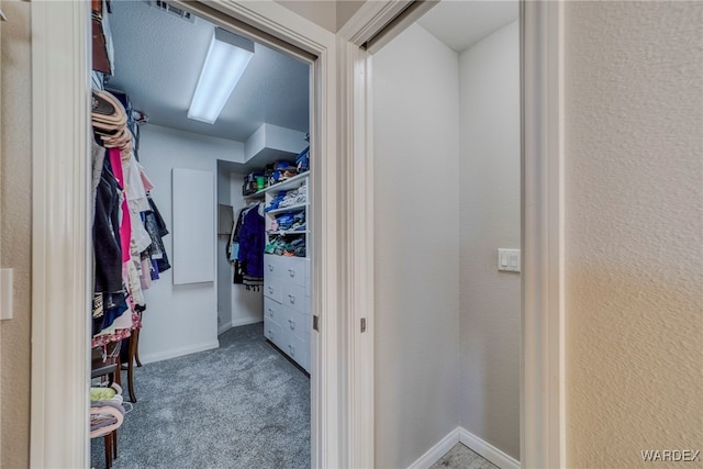 spacious closet featuring carpet flooring