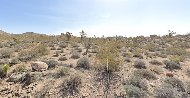 21342 N Cyclopic Blvd, White Hills AZ, 86445 land for sale