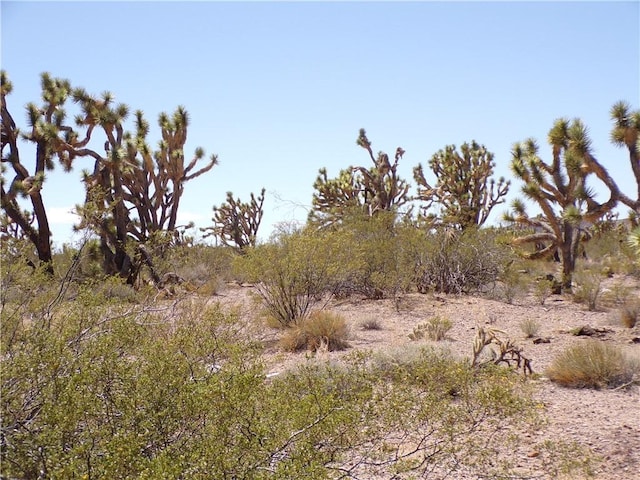 LOT15 N Kingman Dr, Dolan Springs, AZ 86441
