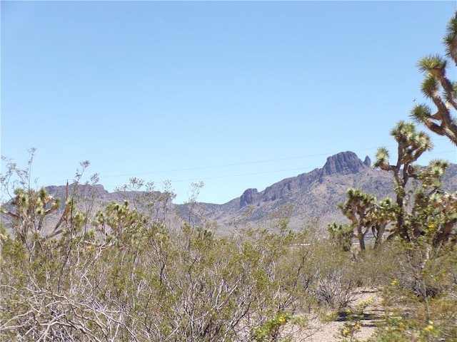 LOT15 N Kingman Dr, Dolan Springs, AZ 86441