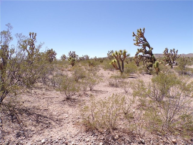 LOT15 N Kingman Dr, Dolan Springs, AZ 86441