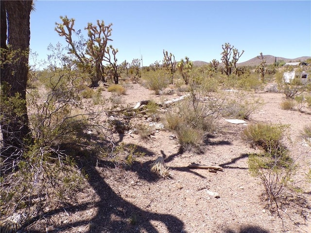 LOT15 N Kingman Dr, Dolan Springs, AZ 86441