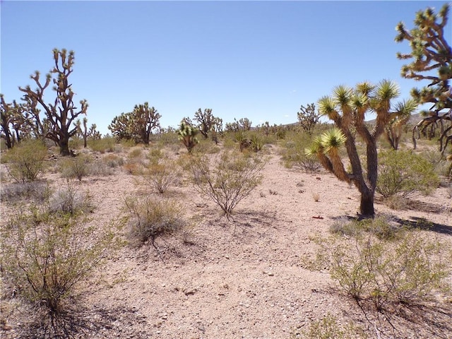 LOT15 N Kingman Dr, Dolan Springs, AZ 86441
