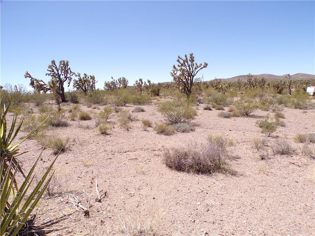 LOT15 N Kingman Dr, Dolan Springs, AZ 86441