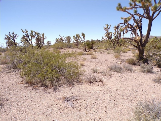 LOT15 N Kingman Dr, Dolan Springs, AZ 86441
