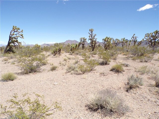 LOT15 N Kingman Dr, Dolan Springs, AZ 86441