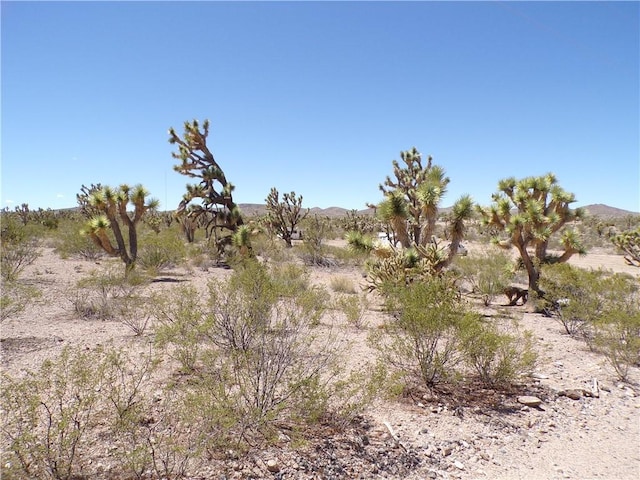 LOT15 N Kingman Dr, Dolan Springs, AZ 86441
