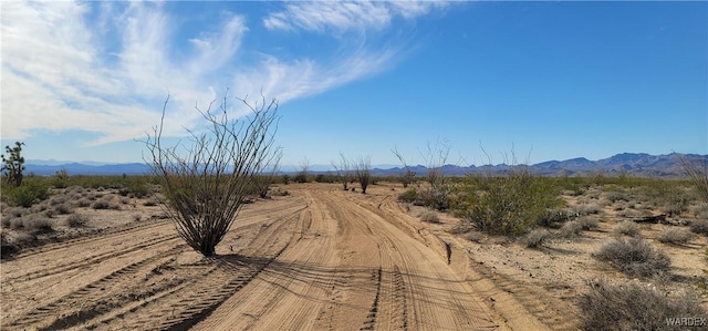 LOT197 S Cortaro Rd, Yucca AZ, 86438 land for sale