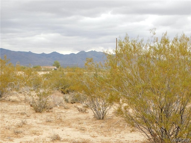 LOT12 N Mormon Flat Rd, Golden Valley AZ, 86413 land for sale