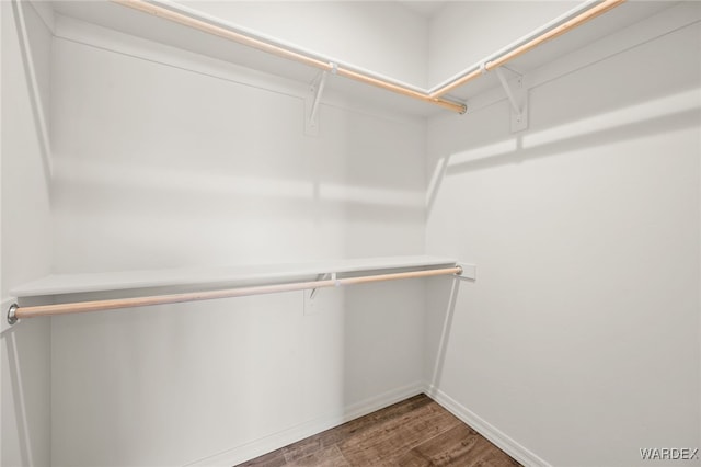 spacious closet with dark wood-type flooring