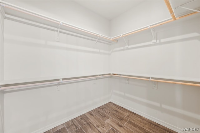 spacious closet featuring wood finished floors