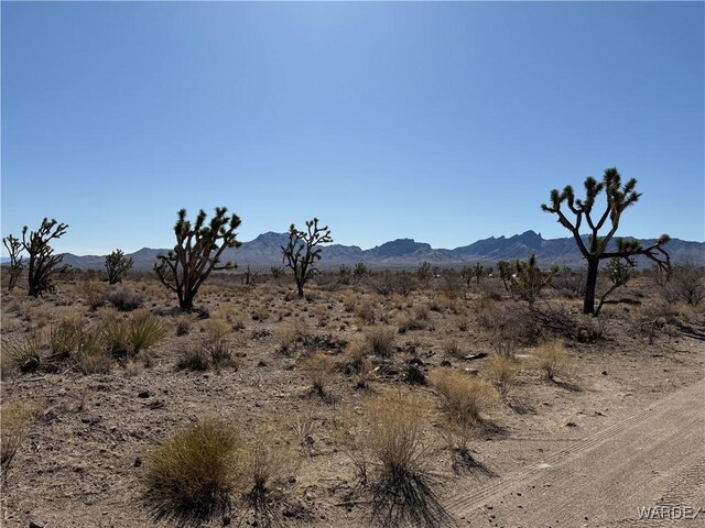 0 N Lomila Dr, Dolan Springs, AZ 86441