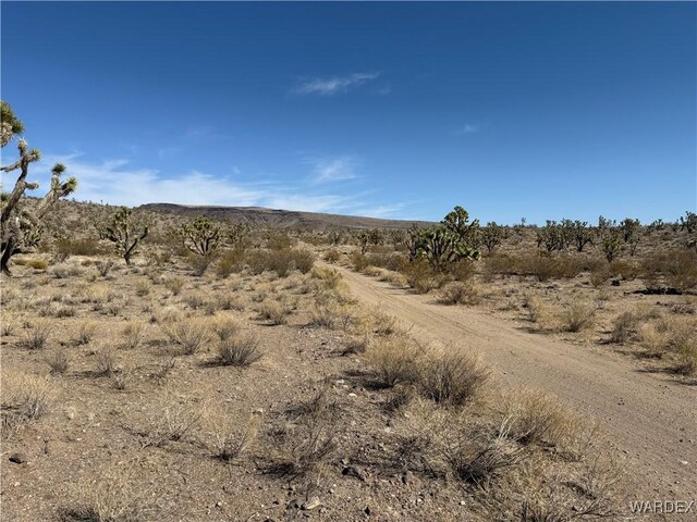 0 N Lomila Dr, Dolan Springs, AZ 86441