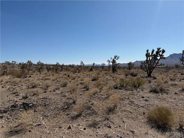 0 N Lomila Dr, Dolan Springs, AZ 86441