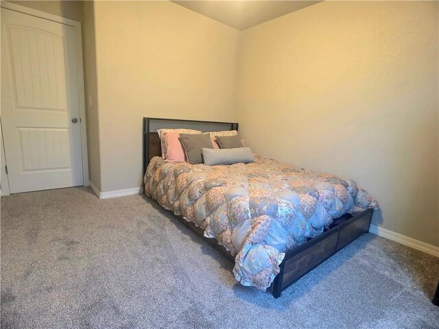 443 S Martinez Rd, Golden Valley, AZ 86413 - photo 21