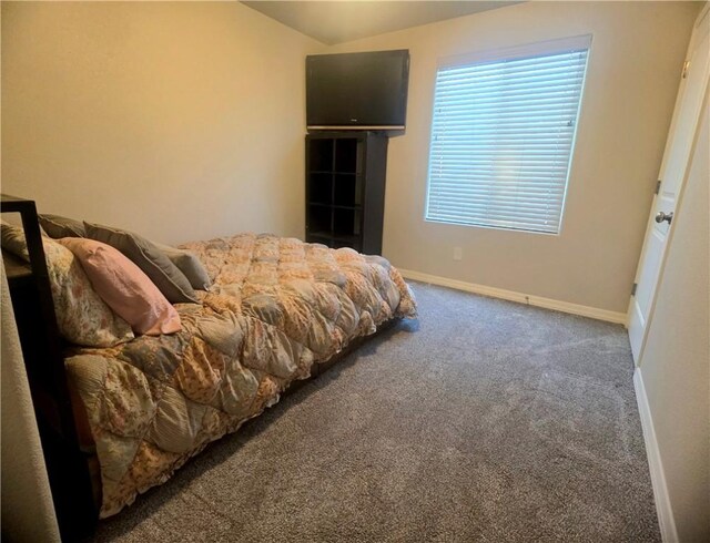 443 S Martinez Rd, Golden Valley, AZ 86413 - photo 23