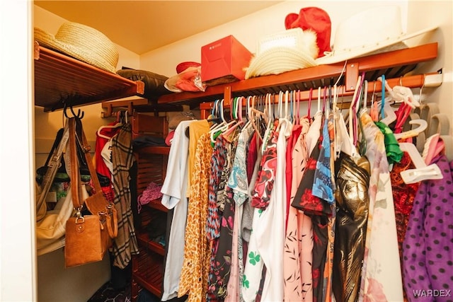 view of spacious closet