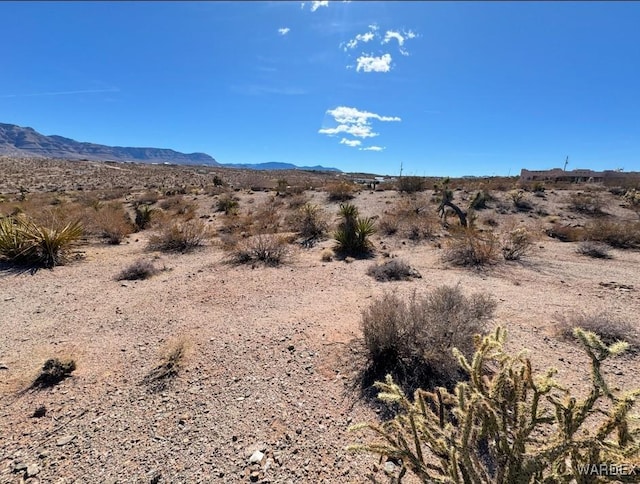 755 E Andrus Ln, Meadview AZ, 86444 land for sale