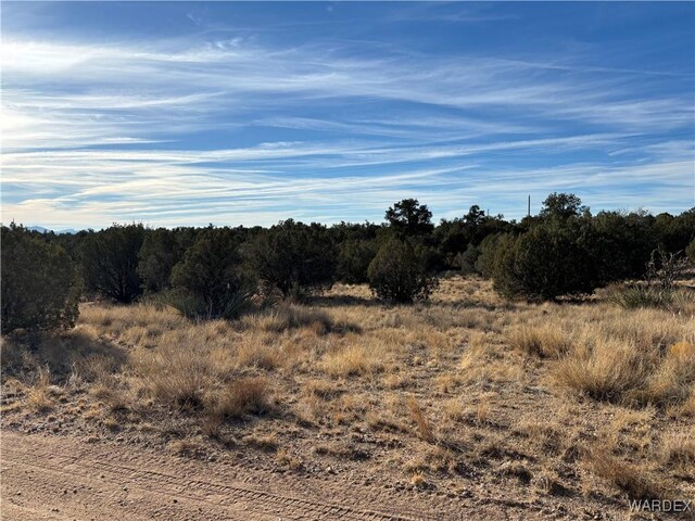 Listing photo 3 for 0000 Dubois Dr, Kingman AZ 86401