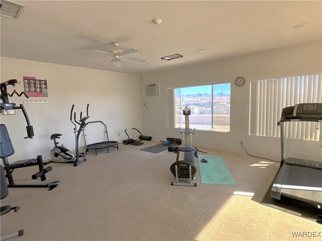 workout area featuring carpet, visible vents, and a ceiling fan