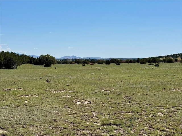 614 N Carson Trl, Seligman, AZ 86337 - photo 48