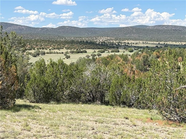614 N Carson Trl, Seligman, AZ 86337 - photo 7