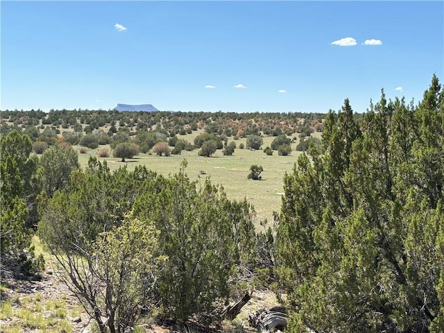 614 N Carson Trl, Seligman, AZ 86337 - photo 20