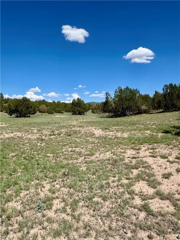 614 N Carson Trl, Seligman, AZ 86337 - photo 45