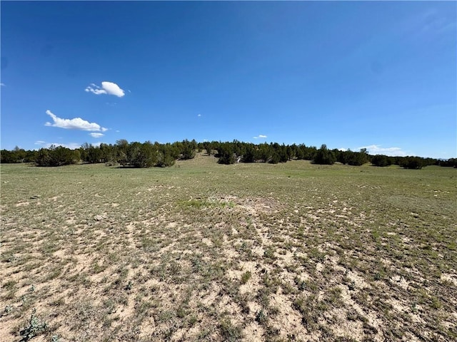 614 N Carson Trl, Seligman, AZ 86337 - photo 49
