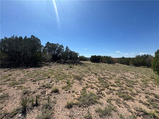 614 N Carson Trl, Seligman, AZ 86337 - photo 38