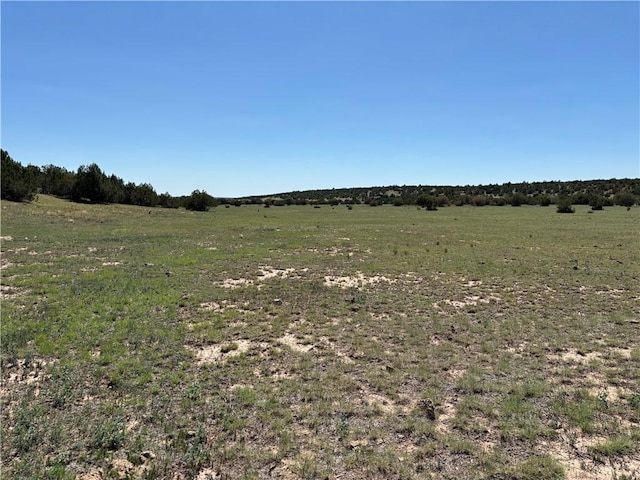 614 N Carson Trl, Seligman, AZ 86337 - photo 23