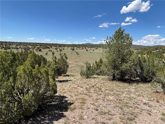 614 N Carson Trl, Seligman, AZ 86337 - photo 17