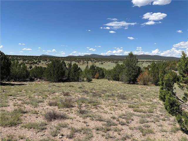 614 N Carson Trl, Seligman, AZ 86337 - photo 15