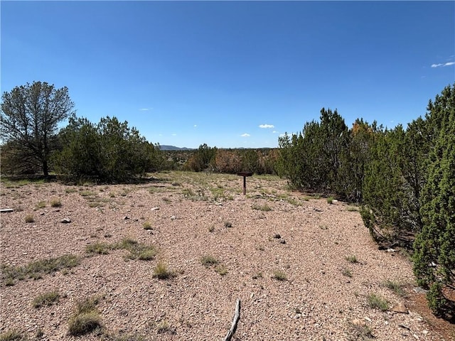 614 N Carson Trl, Seligman, AZ 86337 - photo 10