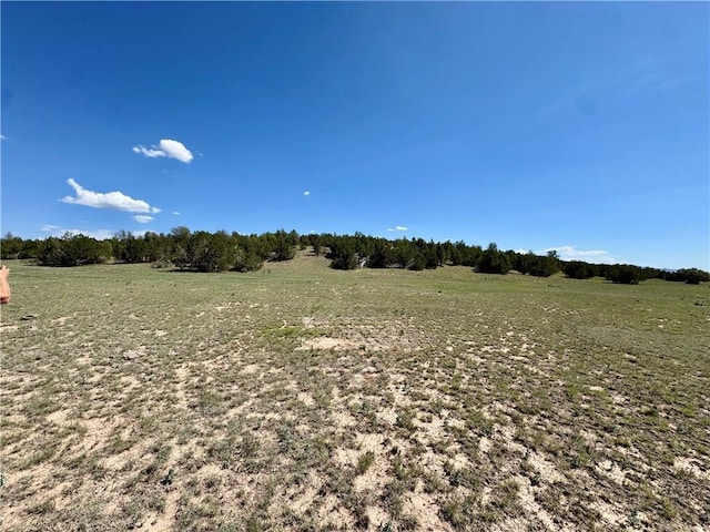 614 N Carson Trl, Seligman, AZ 86337 - photo 47