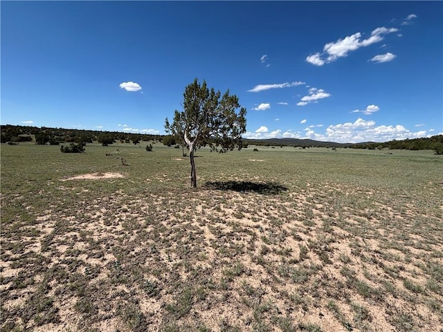 614 N Carson Trl, Seligman, AZ 86337 - photo 27