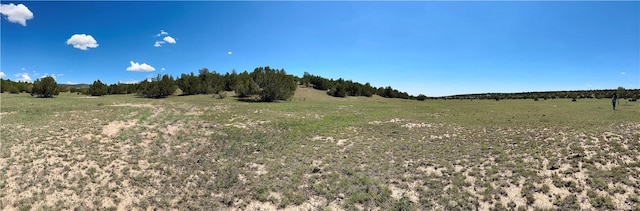 614 N Carson Trl, Seligman, AZ 86337 - photo 46