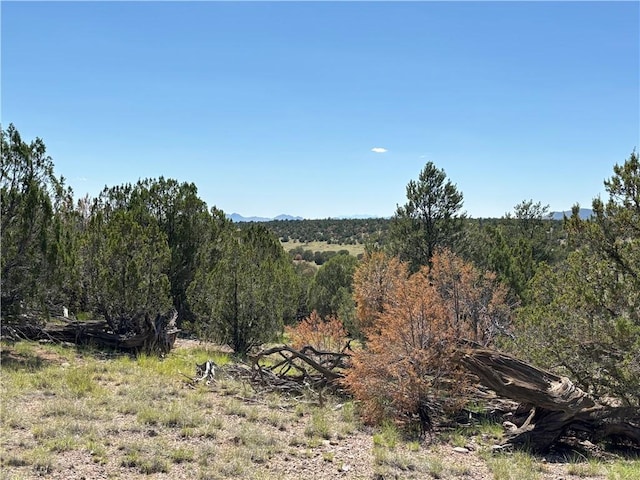 614 N Carson Trl, Seligman, AZ 86337 - photo 28