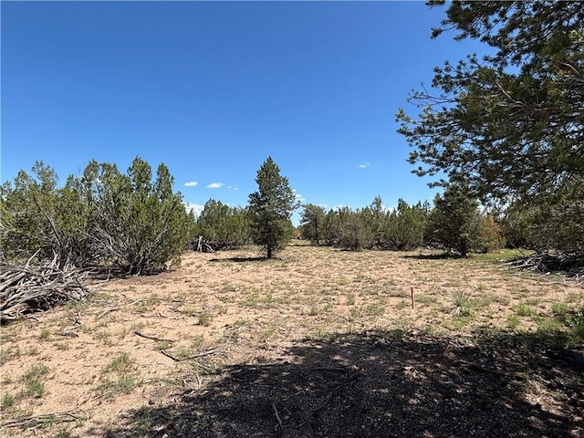 614 N Carson Trl, Seligman, AZ 86337 - photo 12