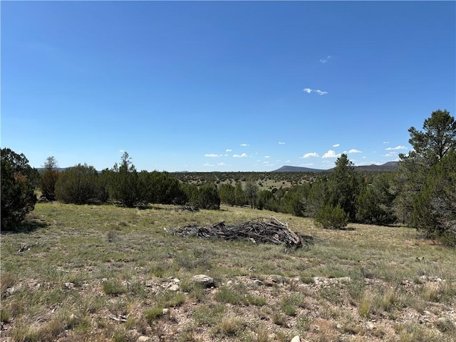 614 N Carson Trl, Seligman, AZ 86337 - photo 31