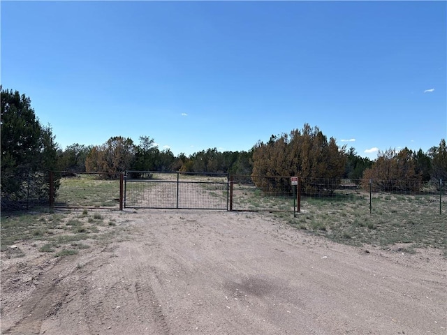 614 N Carson Trl, Seligman, AZ 86337 - photo 1