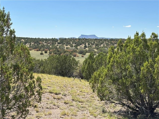 614 N Carson Trl, Seligman, AZ 86337 - photo 16