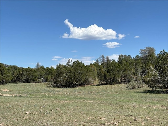 614 N Carson Trl, Seligman, AZ 86337 - photo 26