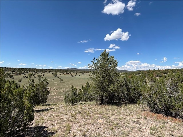 614 N Carson Trl, Seligman, AZ 86337 - photo 18