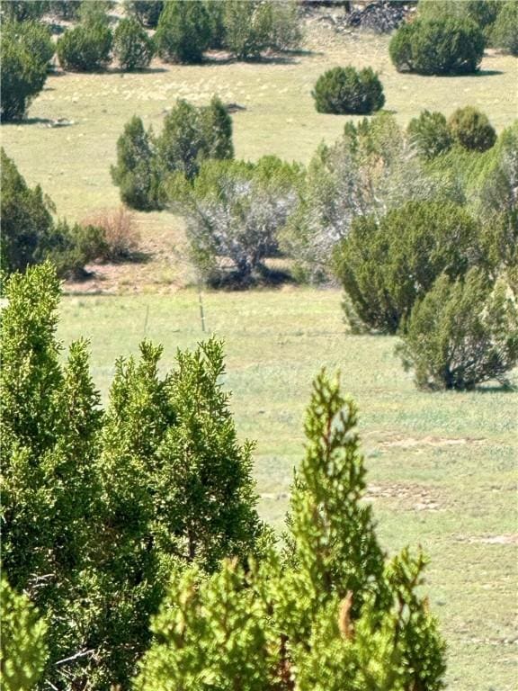 614 N Carson Trl, Seligman, AZ 86337 - photo 44